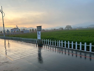 2025新社花海暨國際花毯節_1街道清洗後