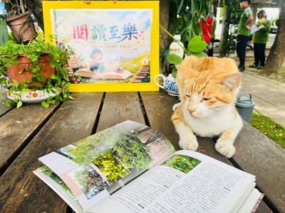 榕樹下閱讀角