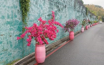 綠美化成果3